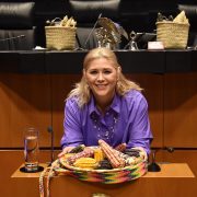 Gran paso en defensa del Maíz Nativo Senado Avanza: Verónica Camino Farjat