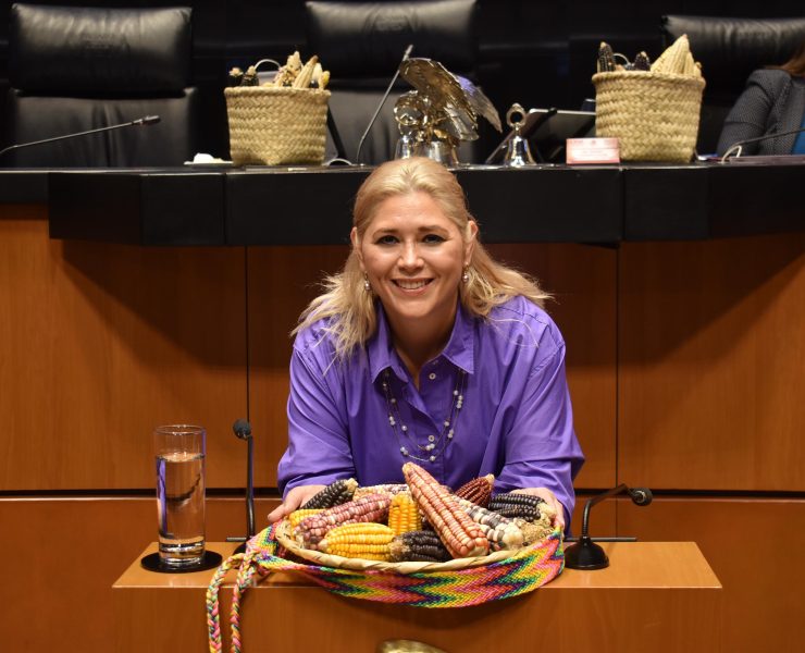 Gran paso en defensa del Maíz Nativo Senado Avanza: Verónica Camino Farjat