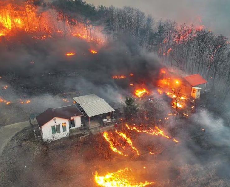 ¡Tragedia en Corea del Sur! Suben a 26 la cifra de fallecidos por incendios forestales masivos