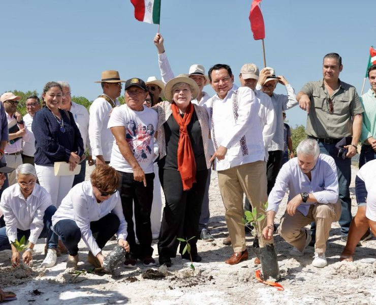 Unidos por la reforestación y conservación de manglares en Yucatán