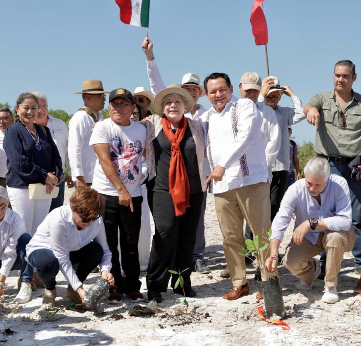 Unidos por la reforestación y conservación de manglares en Yucatán