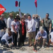 Inicia la reforestación de manglares en toda la costa Yucateca: Un paso decisivo por el medio ambiente