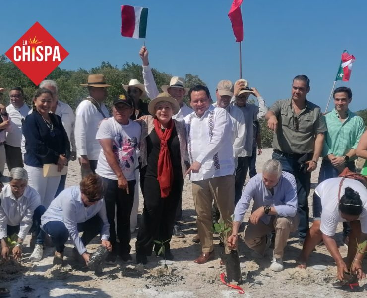 Inicia la reforestación de manglares en toda la costa Yucateca: Un paso decisivo por el medio ambiente