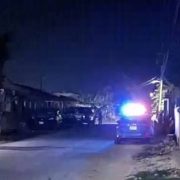 ¡Detuvieron al agresor de Negrita! Justicia para la perrita atropellada