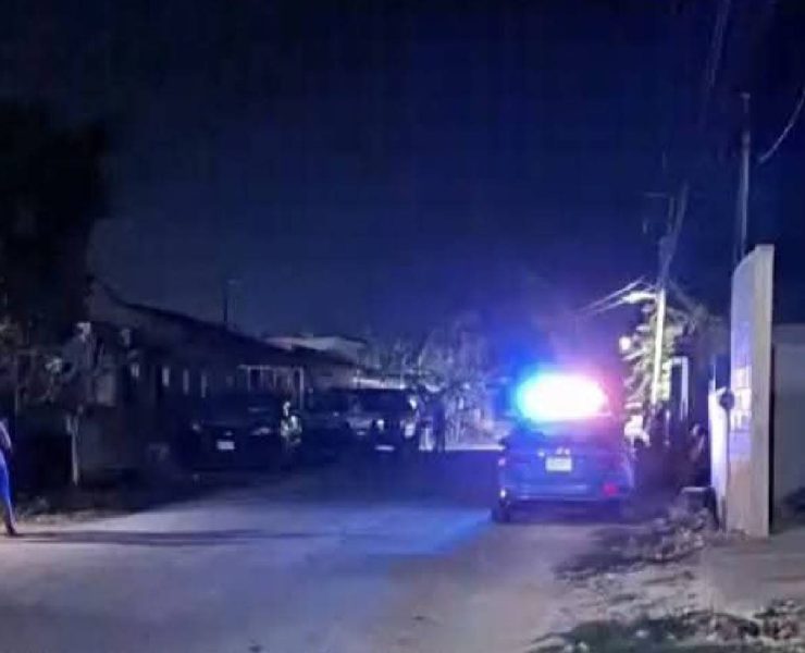 ¡Detuvieron al agresor de Negrita! Justicia para la perrita atropellada