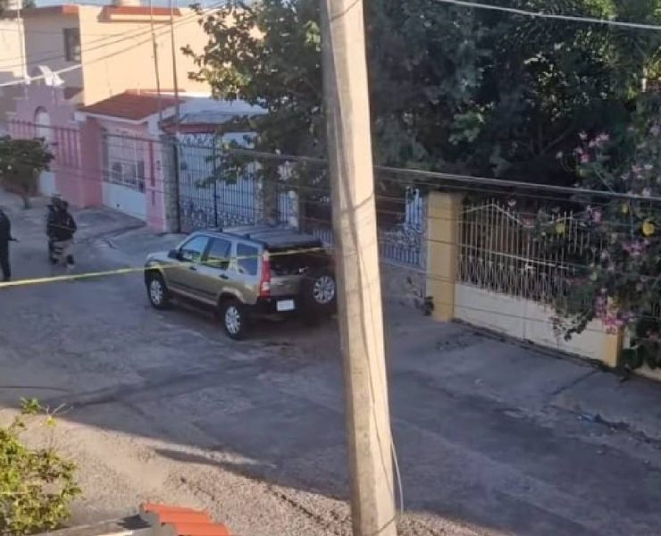 ¡Impactante! Operativo antidrogas en tres predios de Mérida