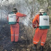 ¡Cuidado! Altas temperaturas y rachas de viento en abril desatan incendios