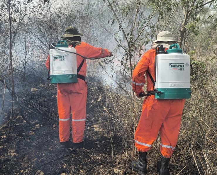 ¡Cuidado! Altas temperaturas y rachas de viento en abril desatan incendios