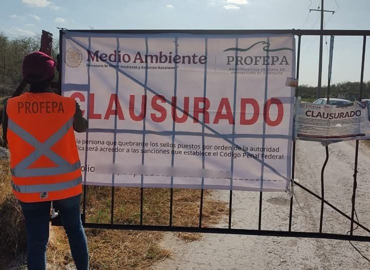 Clausurada Mega granja porcícola de Santa María Chí bajo la lupa ambiental