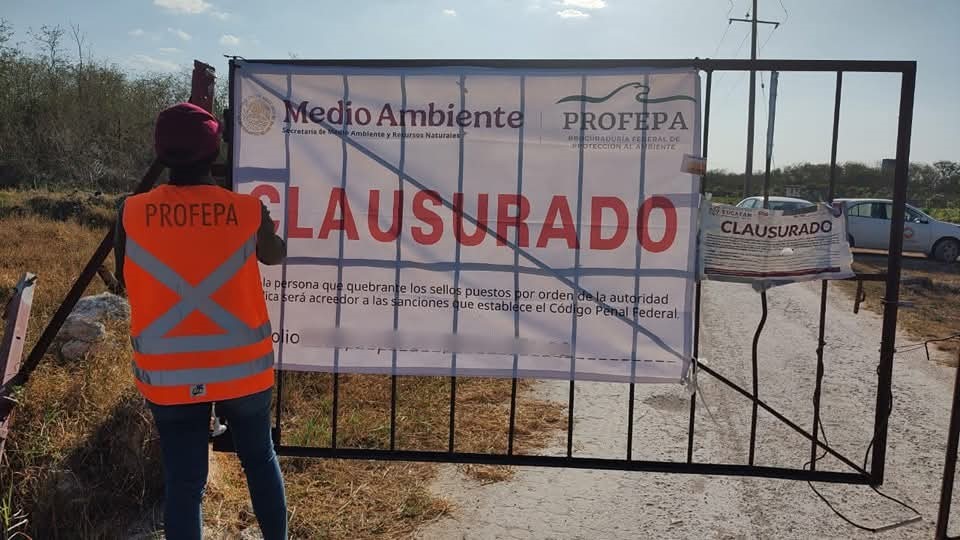 Clausurada Mega granja porcícola de Santa María Chí bajo la lupa ambiental