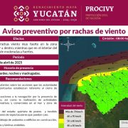 Alerta climática: Precaución ante fuertes vientos