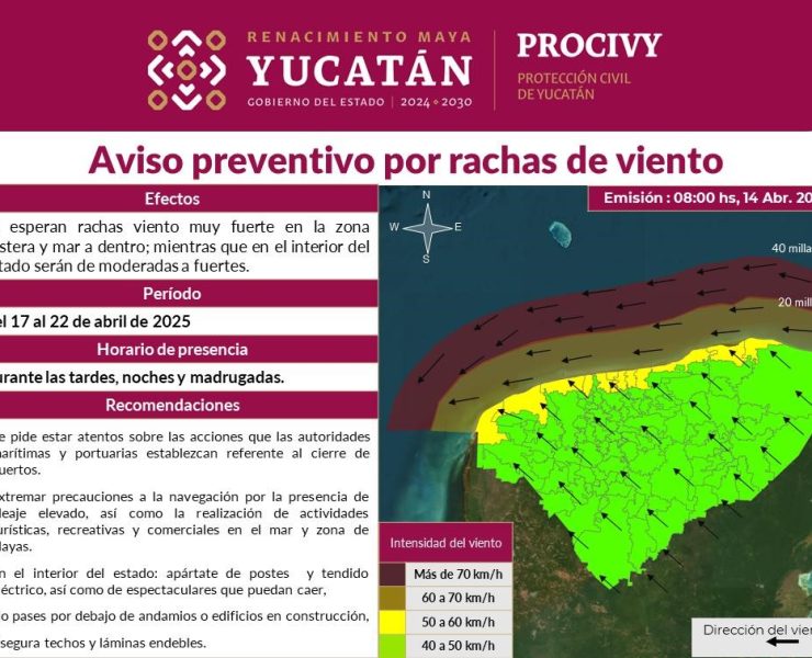 Alerta climática: Precaución ante fuertes vientos