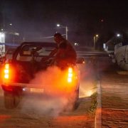 Refuerzan combate al mosquito en playas yucatecas durante periodo vacacional
