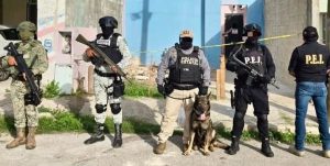 Autoridades aseguran paquetes de droga durante cateo en Kanasín, como parte del operativo conjunto contra el narcomenudeo en Yucatán.