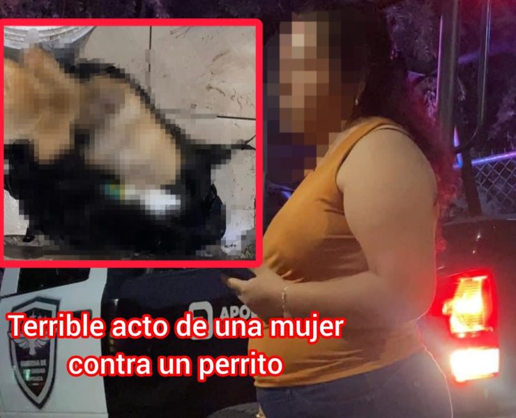 Indignación cruel muerte de perrito en Nuevo León