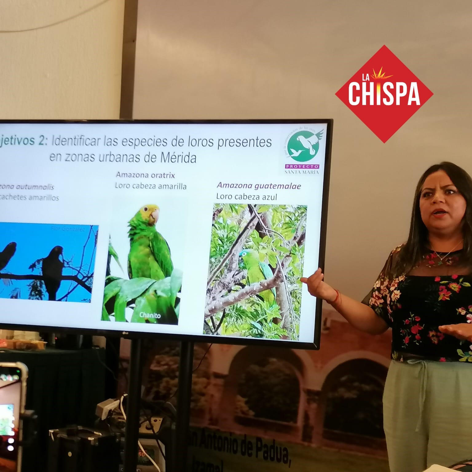Doctora Vanessa Martinez García Coordinadora del proyecto del monioreo de loros urbanos 