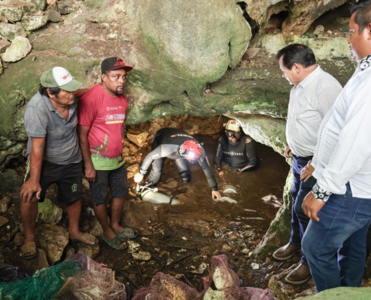 Renacimiento ambiental nuevo pacto con la naturaleza saneará 20 cenotes