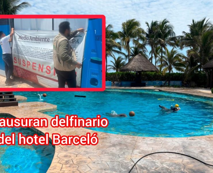 ¿Maltrato animal? Profepa clausura definitivamente el delfinario del Hotel Barceló