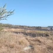 ¡Incendio en Celestún Bajo Control! Autoridades actúan con rapidez