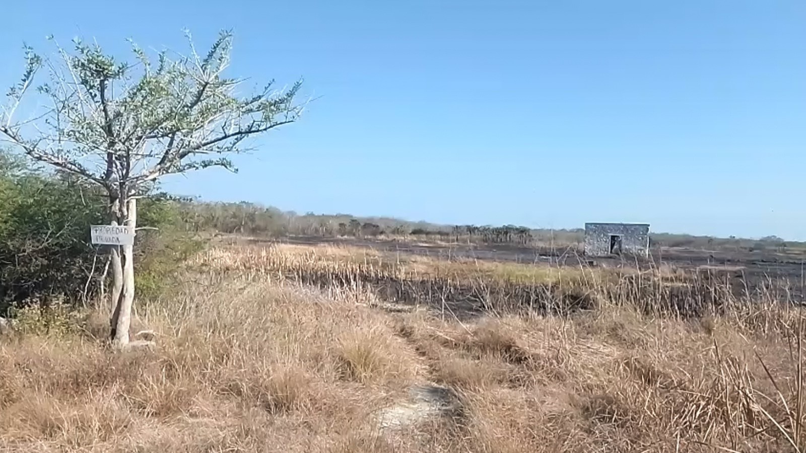 ¡Incendio en Celestún Bajo Control! Autoridades actúan con rapidez