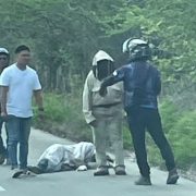 De terror sus abejas lo persiguen y termina arrollado