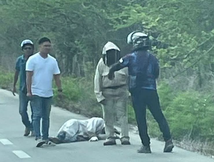 De terror sus abejas lo persiguen y termina arrollado