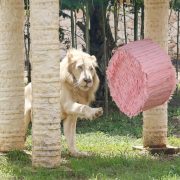 Ayuntamiento de Mérida brinda nuevo atractivo familiar imperdible