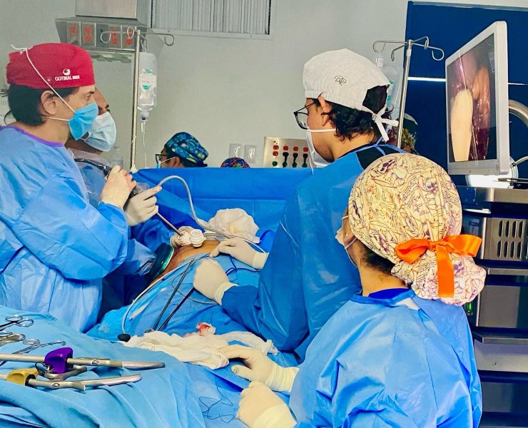 ¡Donar es vivir! Yucatán entre los líderes nacionales en trasplantes renales