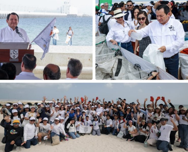 Ecocidios y depredación de especies tendrán castigo ejemplar en Yucatán