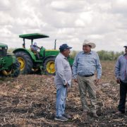 “Renace Tekax” Gobernador Joaquín Díaz Mena lidera histórica transformación del campo