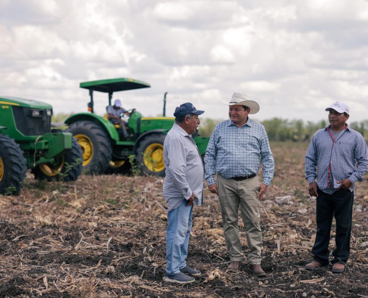 “Renace Tekax” Gobernador Joaquín Díaz Mena lidera histórica transformación del campo
