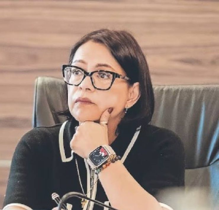 Titular de la CFE llegará a Yucatán para supervisar obras eléctricas