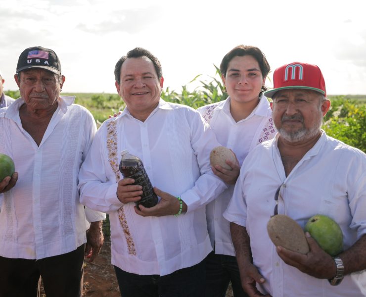 Avanza construcción de caminos sacacosechas en Yucatán para fortalecer el campo