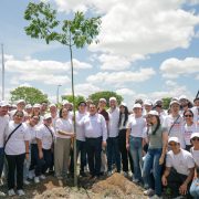 Renacimiento Verde: un programa de reforestación que sembrará más de un millón de árboles