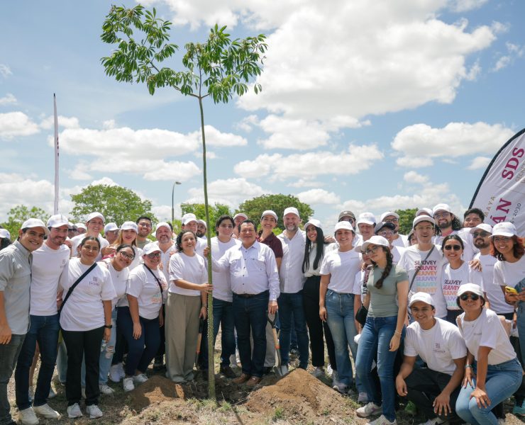 Renacimiento Verde: un programa de reforestación que sembrará más de un millón de árboles