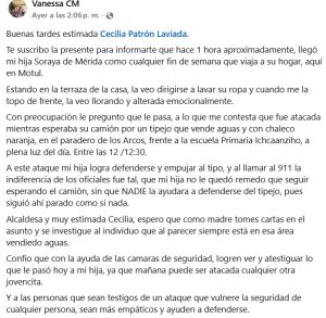 La madre de la víctima denunció en redes sociales el acoso ocurrido frente a la primaria Ichcaanziho, lo que provocó una rápida reacción de las autoridades.