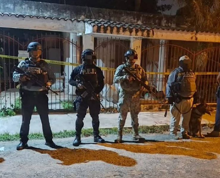 Importante cateo antidrogas en la García Ginerés deja impactante hallazgo