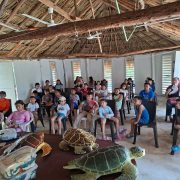 Niños y niñas de Yucatán se convierten en guardianes de tortugas marinas