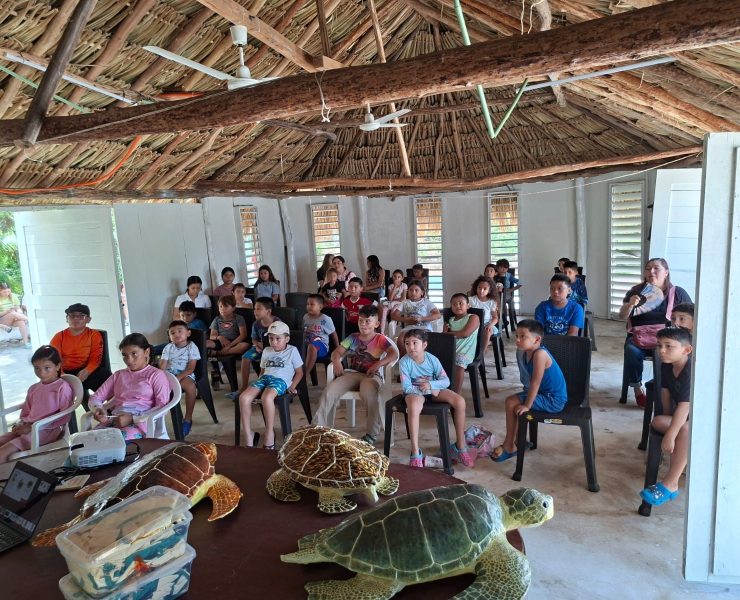 Niños y niñas de Yucatán se convierten en guardianes de tortugas marinas