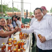 Renacimiento Maya endulza el futuro de la apicultura yucateca