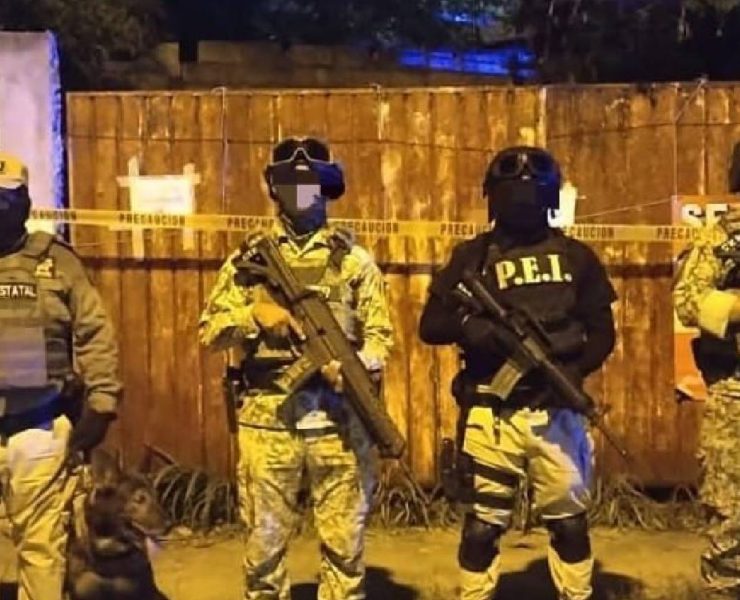 Operativo sorpresa en Mérida importante aseguramiento de cannabis