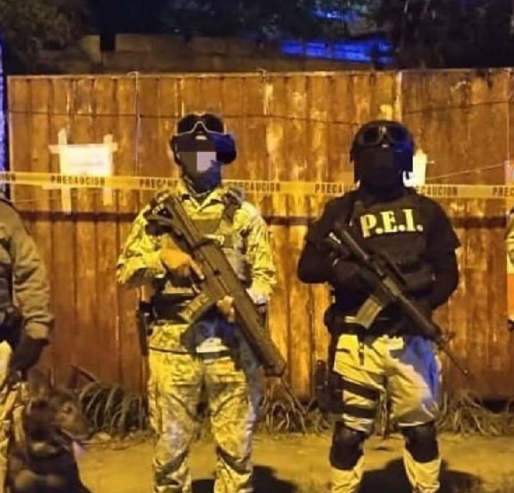 Operativo sorpresa en Mérida importante aseguramiento de cannabis