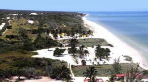 La Reserva Estatal El Palmar ofrece playas casi vírgenes, manglares y el faro más alto de Yucatán, perfecta para conectar con la naturaleza en familia.