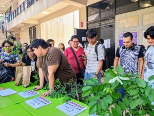Estudiantes de la UPY participan activamente en la jornada de reforestación en la UPY, sembrando árboles endémicos como símbolo de su compromiso con el medio ambiente.