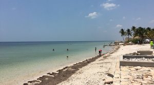 San Crisanto, conocida como la “Venecia Tropical”, es ideal para disfrutar en familia con sus canales entre manglares, cenotes y más de 3 km de playa tranquila.