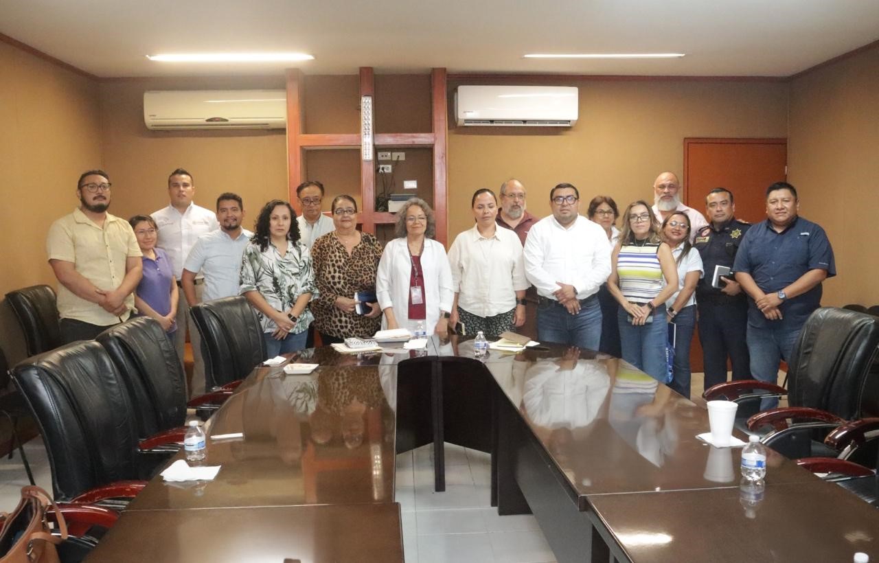 ¡Buenas noticias! Sin indicios de marea roja en Yucatán: la costa sigue libre y segura