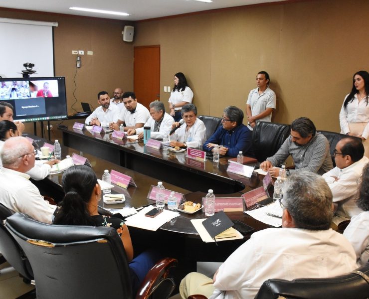 Yucatán como modelo nacional en salud mental gracias a 'Aliados por la Vida'