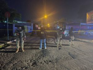 Más de 93 kilos de cannabis fueron hallados en cajas de cartón durante el operativo en Elefante Grande, al poniente de Mérida.