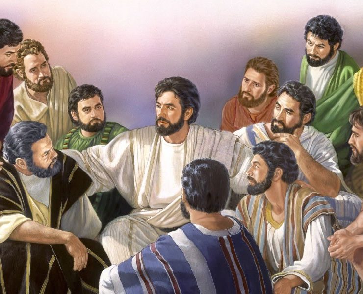 ¡Amigos de verdad! Salvan a su compañero y demuestran que la lealtad no abandona