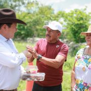 Motul cultiva con el sol: riego solar potencia la producción agrícola